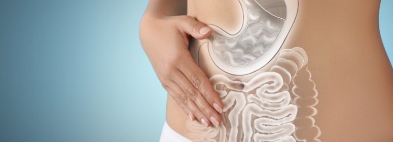 <h1> Le microbiote intestinal : de l'�quilibre digestif aux th�rapies du futur - Art.2</h1>